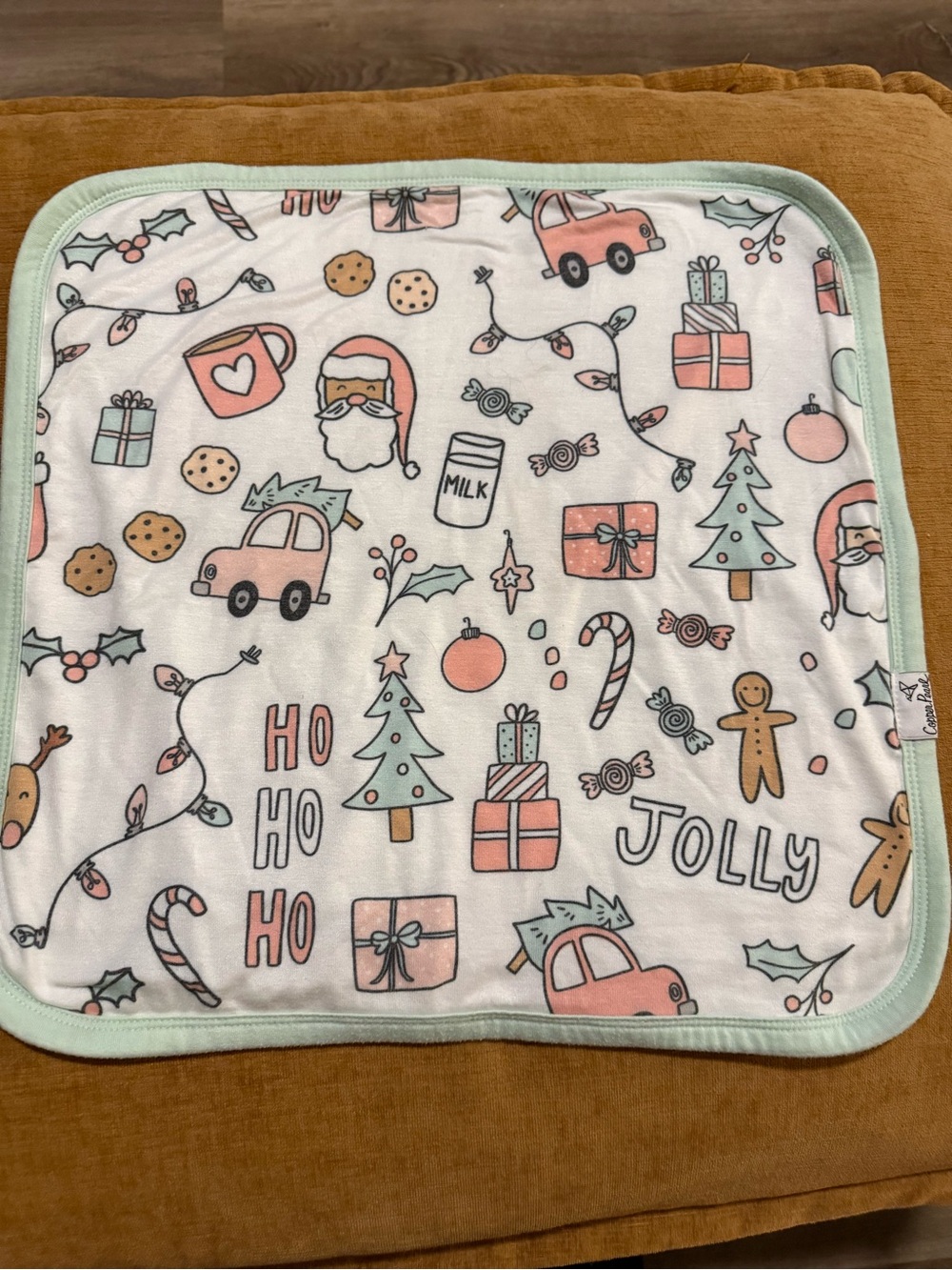 Kids Christmas Holiday Bib - Mint Trim Pink & Green Print